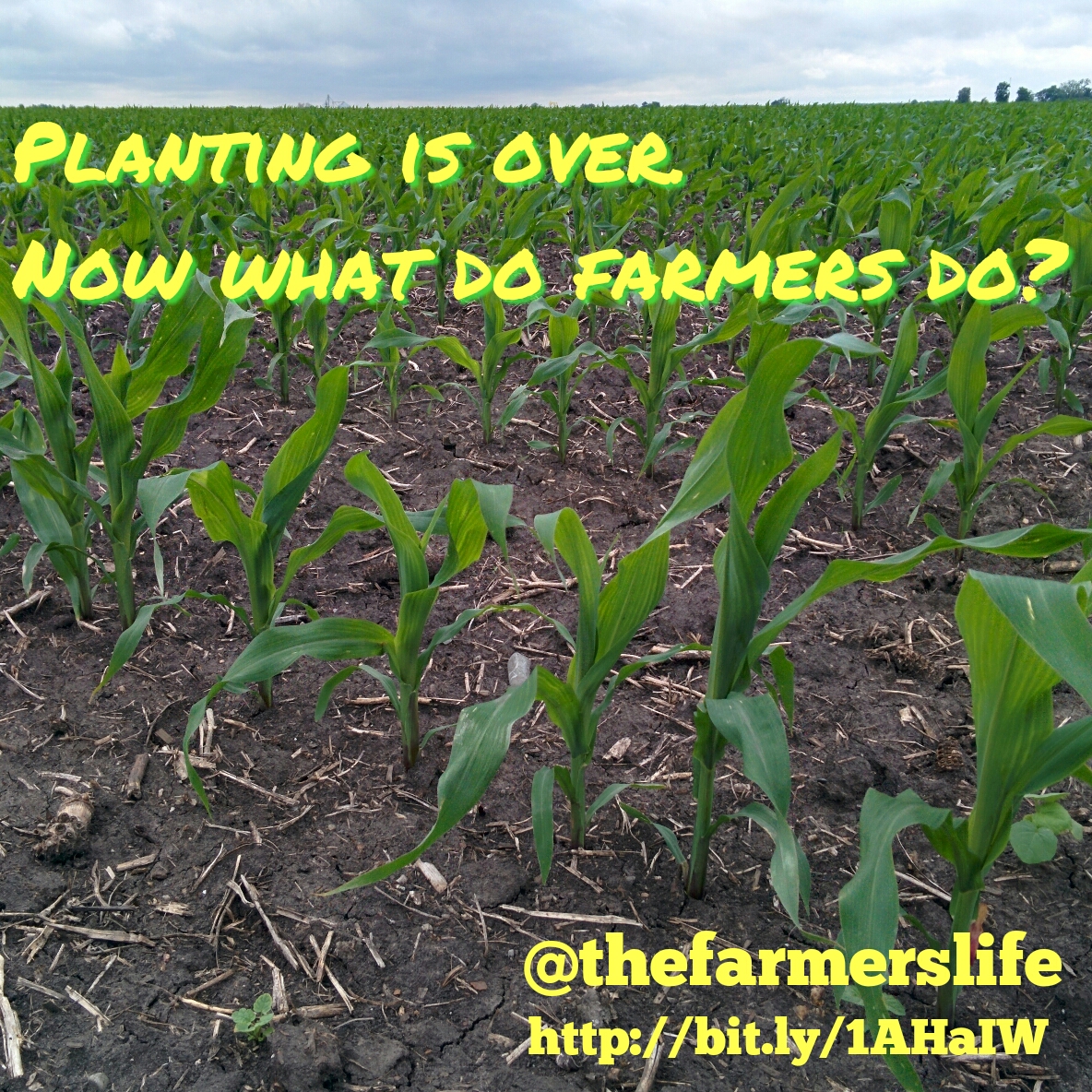 planting-is-over-now-what-do-farmers-do-the-farmer-s-life